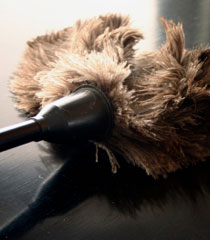 S and P Cleaning Services